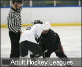 Adult Hockey