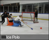 Ice Polo