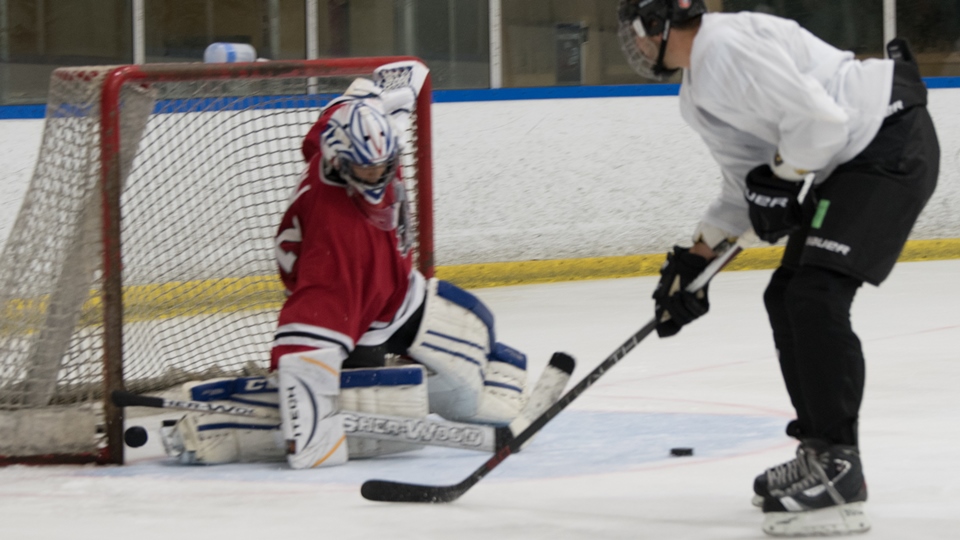 San Diego Adult Ice Hockey Leagues to utcice